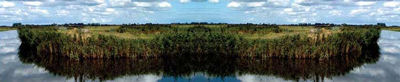 veldwerk2008landverkenners.jpg