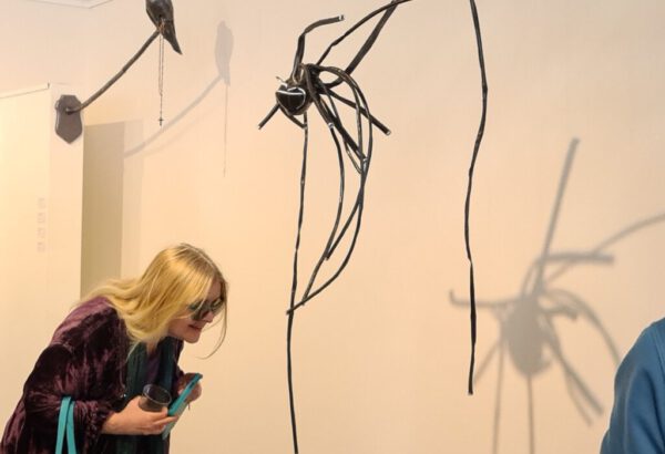 Expositie Dierlijk - NKVB