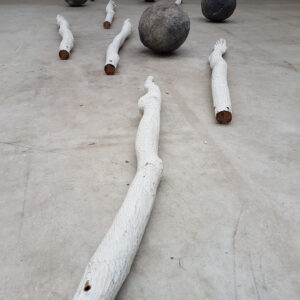 benen en ballen dim. variabel mat. hout , gips
