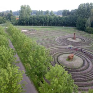 “GrieselVeld “ aspergebedden, beelden van griendhout