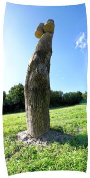 Object3voorCloseLowres4