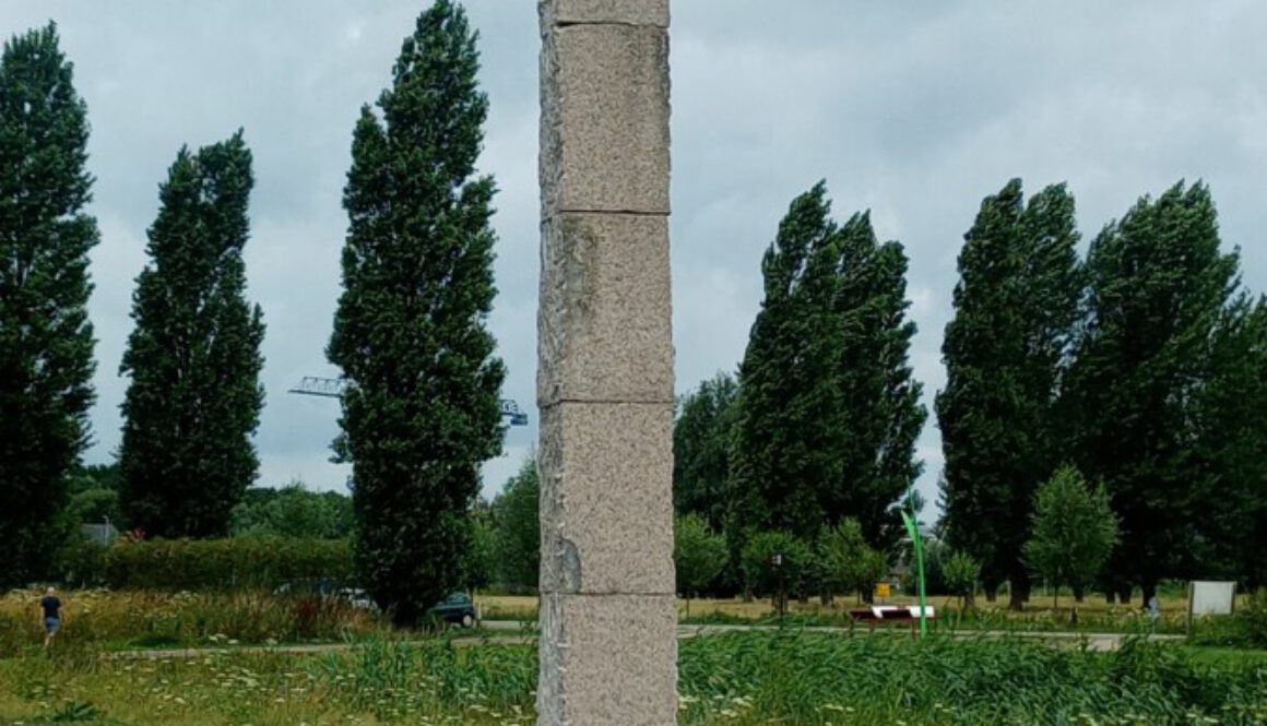 Marcel van Zijp, Windveer