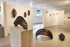 Expositie 'Concepten'