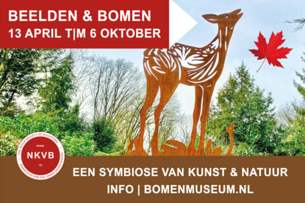 flyer Beelden & Bomen Bomenmuseum 2024