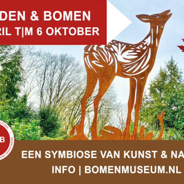 flyer Beelden & Bomen Bomenmuseum 2024
