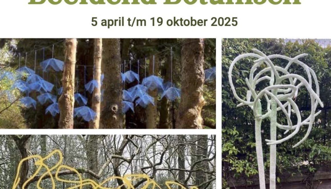 2504 beeldend botanisch flyer kl