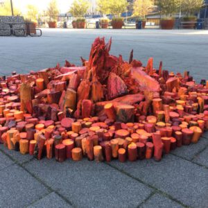 'Vuurplaats' (verschillende plekken, installatie)