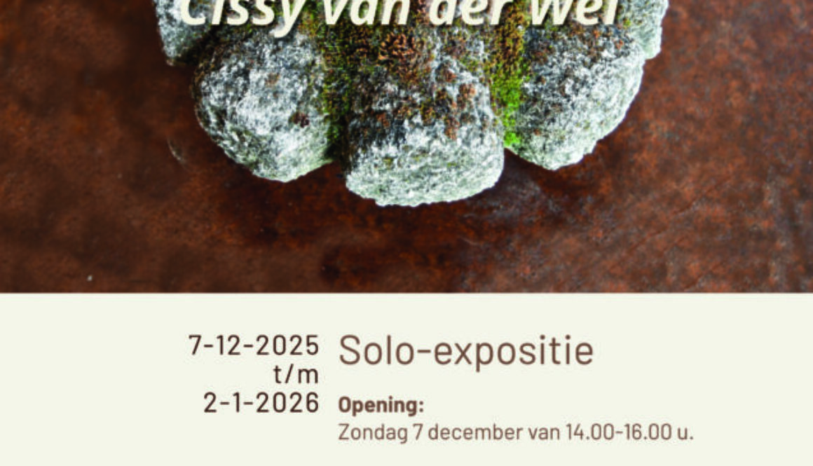 Cissy-van-der-wel-solo-2