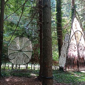 Kathedraal, takken, gedroogde bloemen, veren