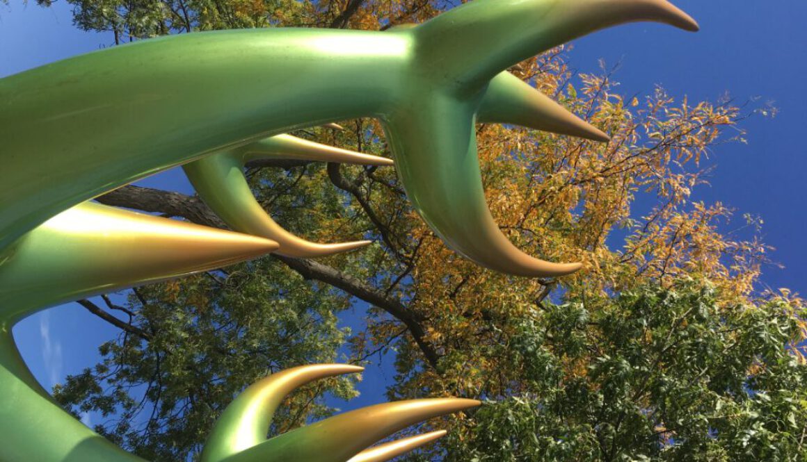 crowdfunding HOORNBOOM