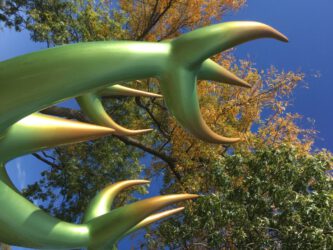 crowdfunding HOORNBOOM