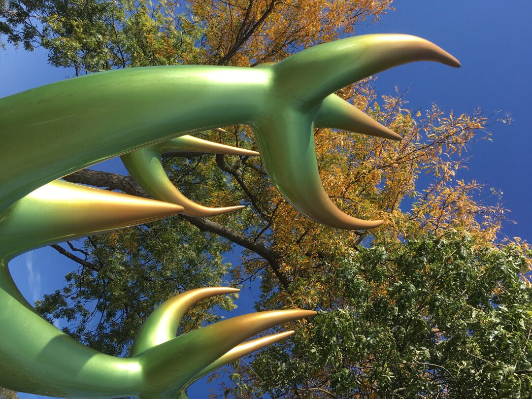 crowdfunding HOORNBOOM