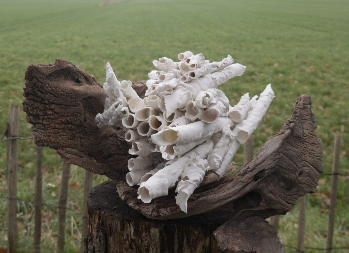 Thea van Vliet Imagine 2 1 voor .JPG bijgesneden.JPG