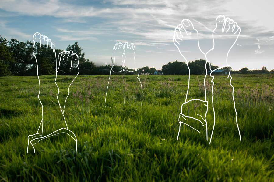 Kunst in de Heemtuin